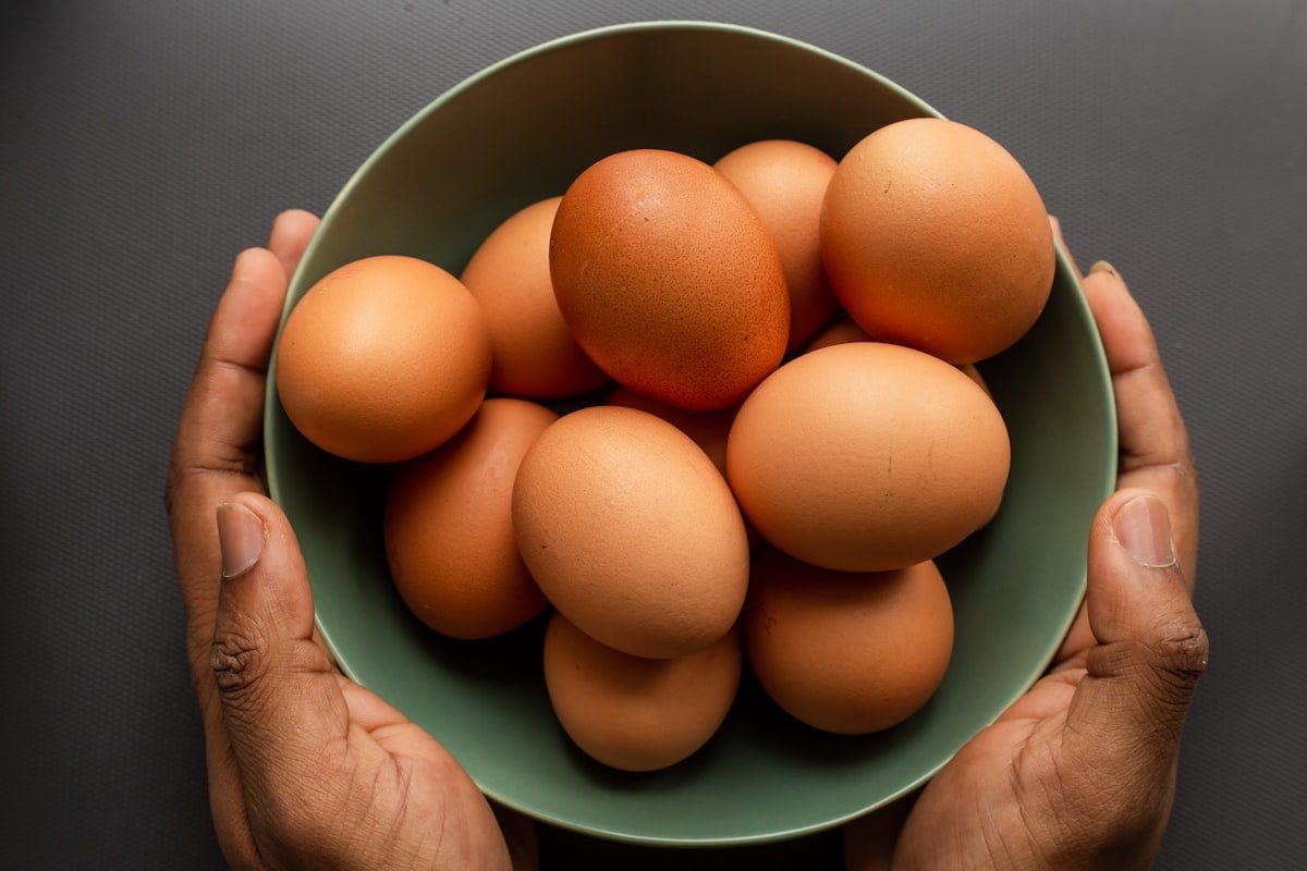 Tips Memilih Telur Segar, Manfaat Gizi, dan Inspirasi Menu Keluarga